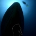 wreck_boga_tam_v_0055_bal3869.jpg